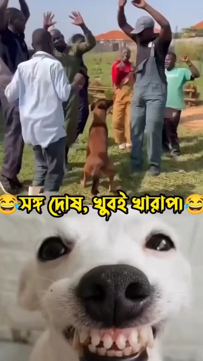 সংঘ দোষ