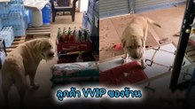 ลูกค้า VVIP มาซื้อขนมแต่เข้าบ้านไม่ได้ ต้องให้แม่ค้าไปเปิดให้
