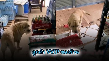 ลูกค้า VVIP มาซื้อขนมแต่เข้าบ้านไม่ได้ ต้องให้แม่ค้าไปเปิดให้