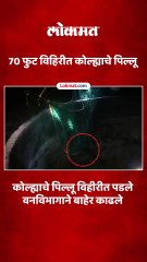 चांदवड तालुक्यातील शिंगवे गावातील घटना कोल्ह्याच्या पिल्लाला जीवदान