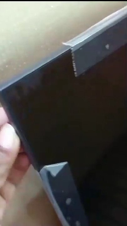 Parrots clip
