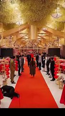 When she rises once more