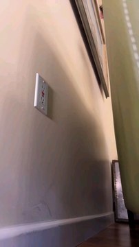 #plugnplay #plugandplayit #xcllcx #funny #nocontext #sn2sg #dailychallenge #sunnight #sunnightmusic #skills #sunnightpop #sunnightjazz #escape #escapegame #playstation #playonchallenge #electric #plugin #chaseyourdreams #havefun #trynottolaughchallenge