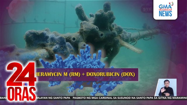 Gamot na doxorubicin, naging mas epektibong magpaliit ng tumor nang haluan ng compound ng PHL Blue Sponge ng all-female team of researcher | 24 Oras