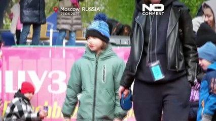 Für den guten Zweck: Französische Bulldoggen auf dem roten Teppich in Moskau