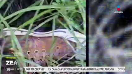 Localizan sin vida a Kenia Dayana Landeros, joven desaparecida desde el 20 de enero