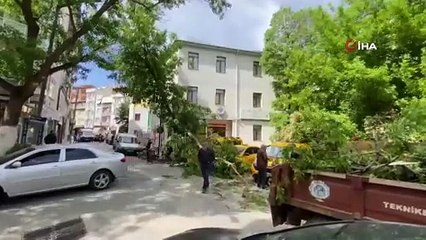 Çanakkale’de fırtına maddi hasar açtı! Ağaç dalı araçların üzerine devrildi