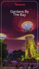 A Perfect Singapore Getaway | Travomint Travel Diaries