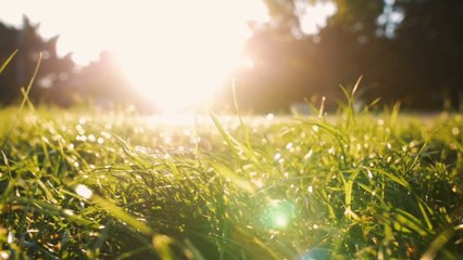 Suncream and protecting the reef: What do you need to know?