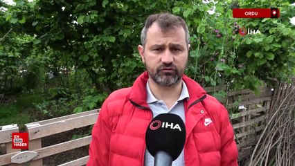 Ordu'da satın aldığı ekmek küflü ve çift etiketli çıktı, şikayetçi oldu