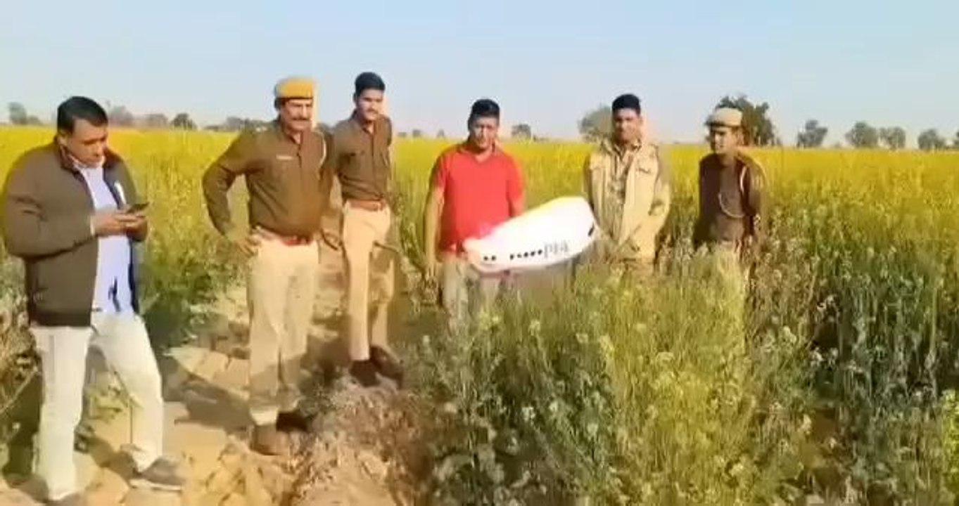 PIA In India