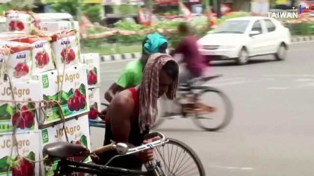 Rooftop Gardening Creates Sustainable Green Spaces in India's Cities