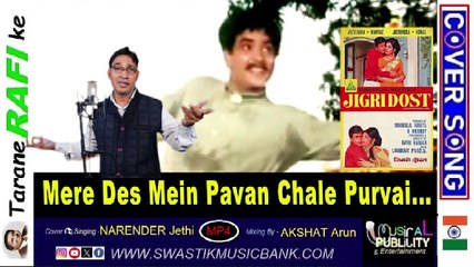 🎞️MUSICAL PUBLICITY & Entertainment