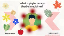 What is phytotherapy (herbal medicine)?