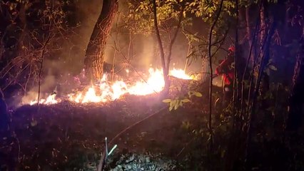 [29일 제보영상 1번] 뿌연 연기 속 갈퀴질...소화액 뿌리며 야간진화 / YTN
