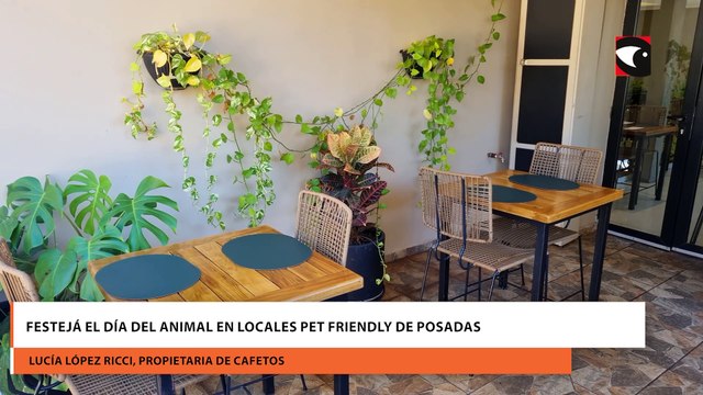Festejá el día del animal en locales pet friendly de Posadas