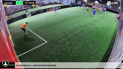 But de Dany D - Les Héros Du Gazons