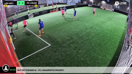 But de Theisse M - Fc Ligaments Croisés