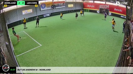 But de Andrew M - Noirland