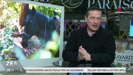 Así se vive el regreso a clases en la Escuela Primaria Padre Mier, en la CDMX