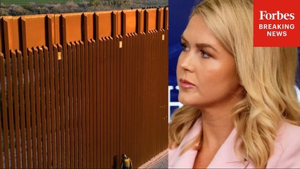 Karoline Leavitt Asked Straight-Up: 'When Will The Border Wall Be Completed'