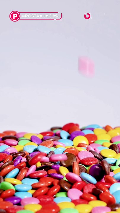 ¿Los perros ven a blanco y negro? Esto dicen los expertos.