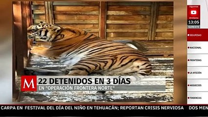Caen 22 personas en Operación Frontera Norte en los últimos 3 días