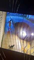 Tururu: secretário é investigado por agressão a mulher no Ceará