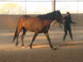 Pr£mi£r£ fÔ[iii]£ £n lÔng£