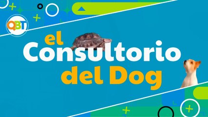 Veterinaria - Lunes 28 abril 2025