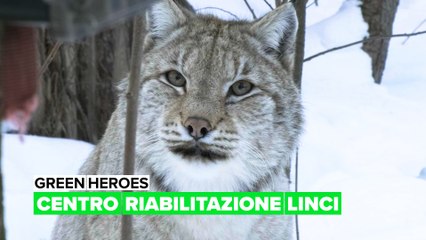 Green heroes: Centro Riabilitazione Linci