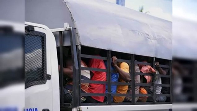 Haitianos indocumentados: más de 27 mil han sido deportados este año
