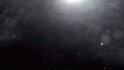 Los Angeles Goes Dark &  Near Dark .