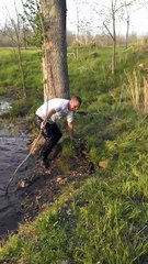 167. When mother nature doesn't like you 🌳#shorts #tree #lake #fail