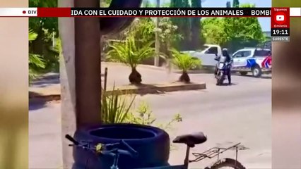 Registran persecución y balacera en Cuautla, Morelos