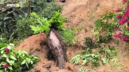 Tras situación de Altavista, Fico confirmó detalles de lo sucedido por las lluvias en Medellín y reafirma emergencia
