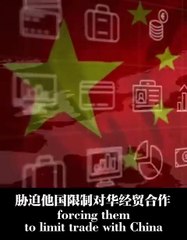 美国对等关税｜中国外交部发影片“不跪” 表明不在美关税战中妥协