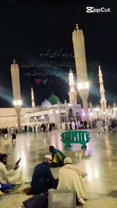 Touseef Vibes