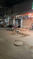 Lrai jhgra ho geya 😂😂😂