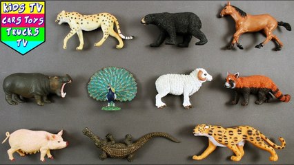 "Animal Toy Fun: Learn Names & Sounds with Playful Toys!"
