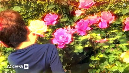 Meghan Markle Shares SWEET Glimpse At Archie & Lili's RED Hair