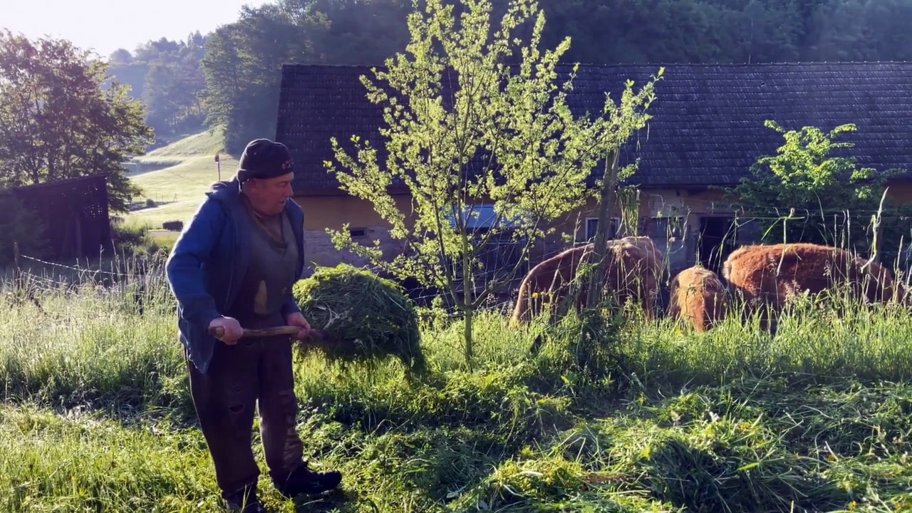 Besuch im Bubenland | movie | 2024 | Official Trailer