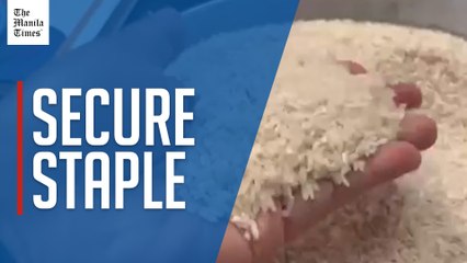 Cebu Launches P20/Kilo Rice Program Amid Skepticism 🍚