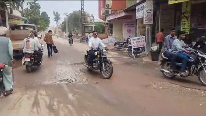 कागजों पर ही बनी रह गई एक दर्जन समितियां नगरपरिषद की समितियां