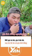 Độc lạ pịa Ếch đồng khiến dân tình ngao ngán