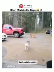 Karan Casm - Bhari Mistake Ho Gaya 😂🗿  __Use headphones 🎧__._Follow for more 💥__karancasm_ __.___angvines _funnyvideos _fyp _catphoto _catselife