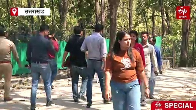 देहरादून जू को 'मालामाल' कर रही बाघों की जोड़ी, महज चार महीने में हो गई बंपर कमाई, देखने पहुंच रहे हजारों लोग