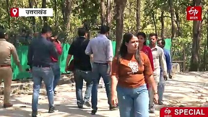 देहरादून जू को 'मालामाल' कर रही बाघों की जोड़ी, महज चार महीने में हो गई बंपर कमाई, देखने पहुंच रहे हजारों लोग