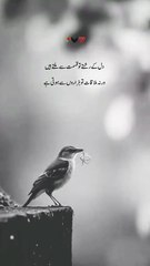 2c3979b4e5ddeba9cdb23ef89078625f