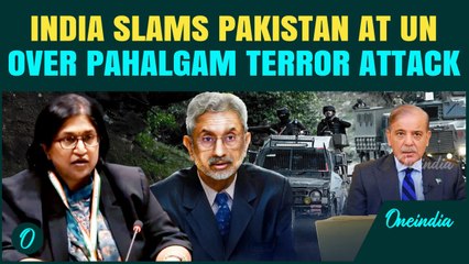 India EXPOSES Pakistan at UN, Slams it as ‘Rogue’ State After Pak Min Admits Supporting Terrorism